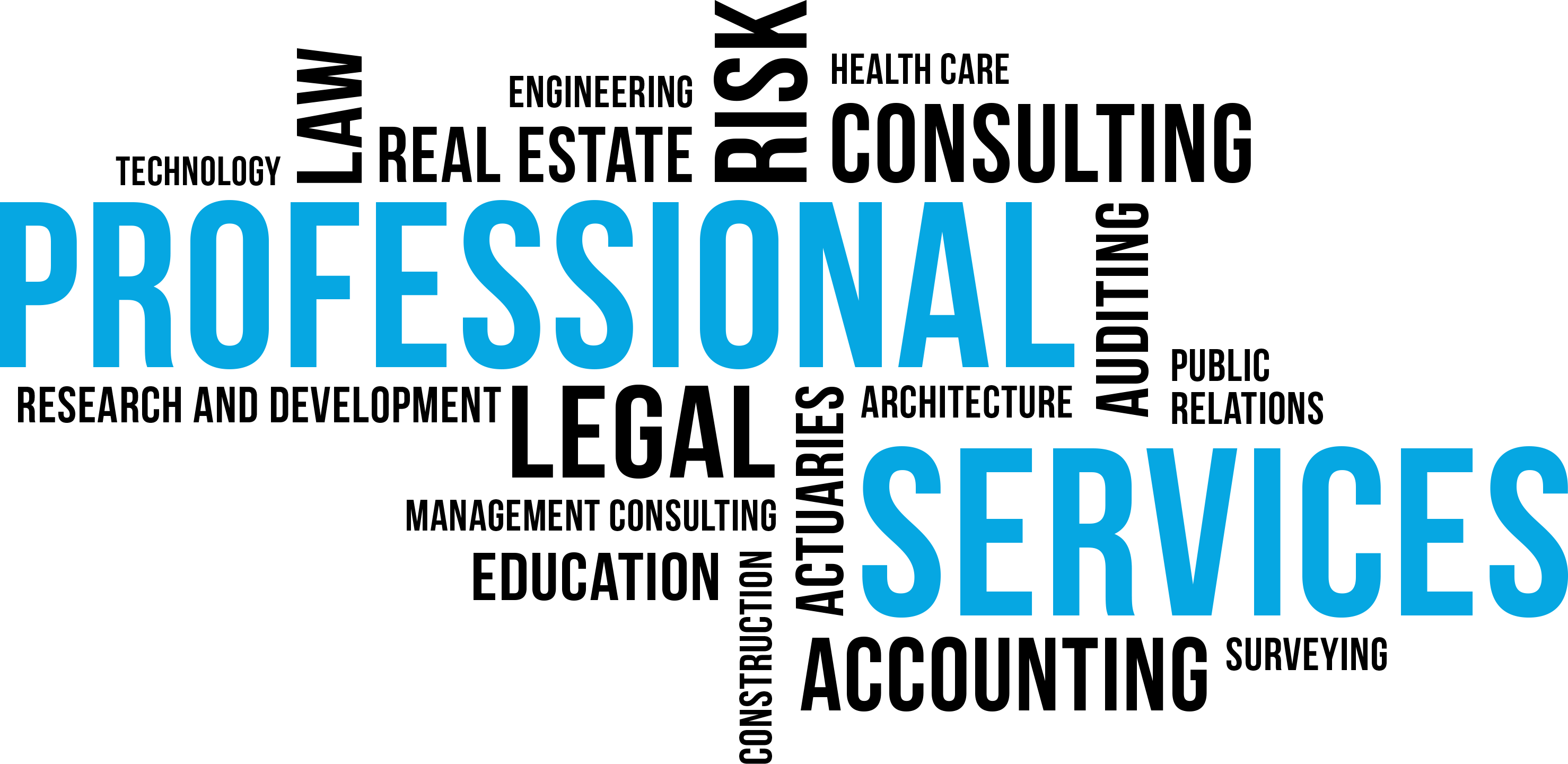 Professional Services Large